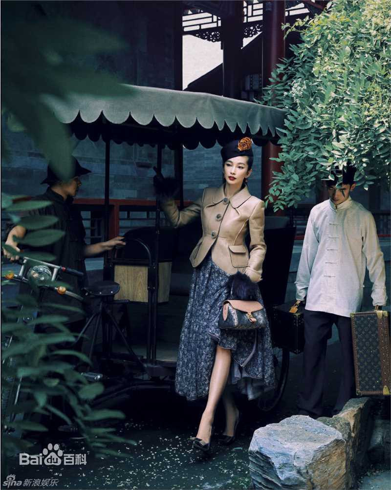精选李冰冰(Li Bingbing)精彩图册