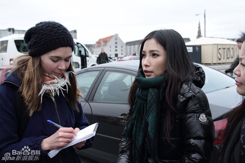 精选李冰冰(Li Bingbing)精彩图册