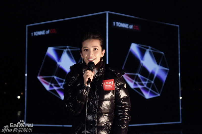 精选李冰冰(Li Bingbing)精彩图册