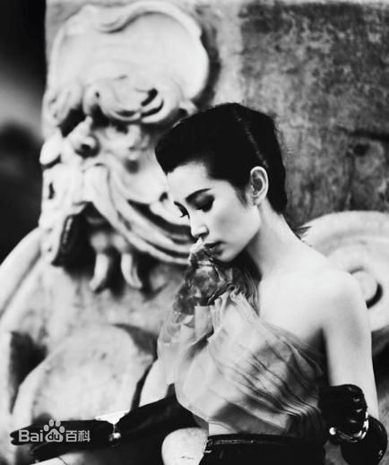 李冰冰(Li Bingbing)精彩图册4