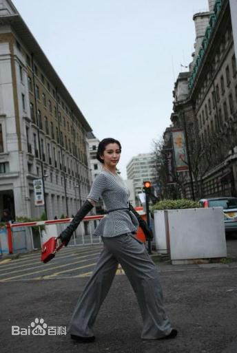 李冰冰(Li Bingbing)精彩图册4