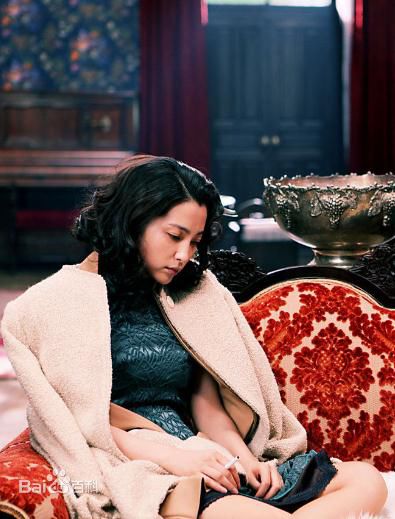 李冰冰(Li Bingbing)精彩图册4