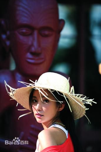 李冰冰(Li Bingbing)精彩图册4