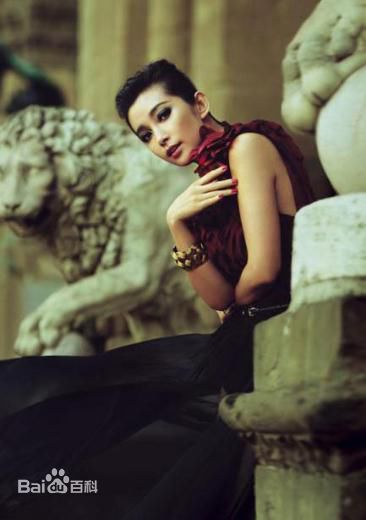李冰冰(Li Bingbing)精彩图册4