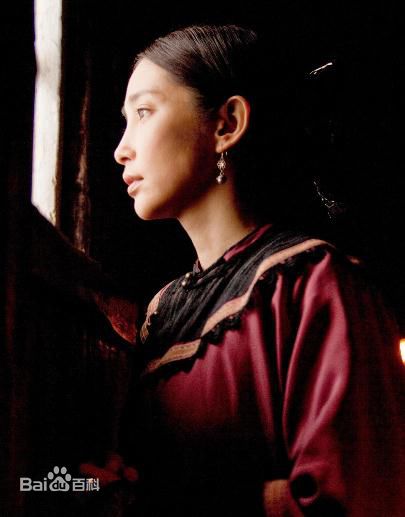 李冰冰(Li Bingbing)精彩图册4