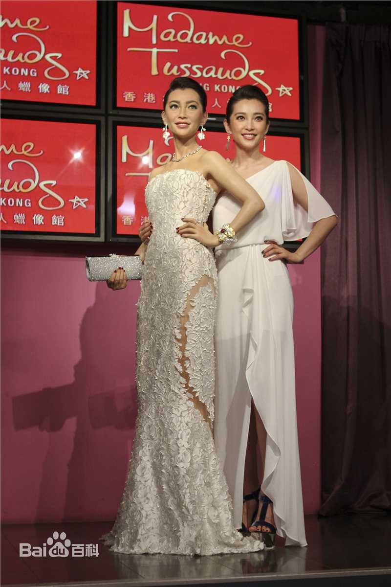 精选李冰冰(Li Bingbing)精彩图册