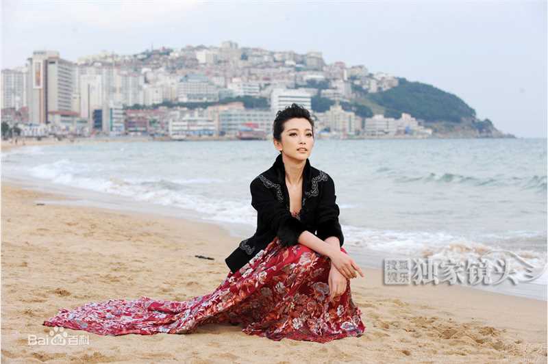 精选李冰冰(Li Bingbing)精彩图册