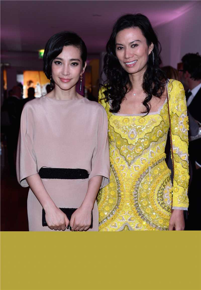 精选李冰冰(Li Bingbing)精彩图册