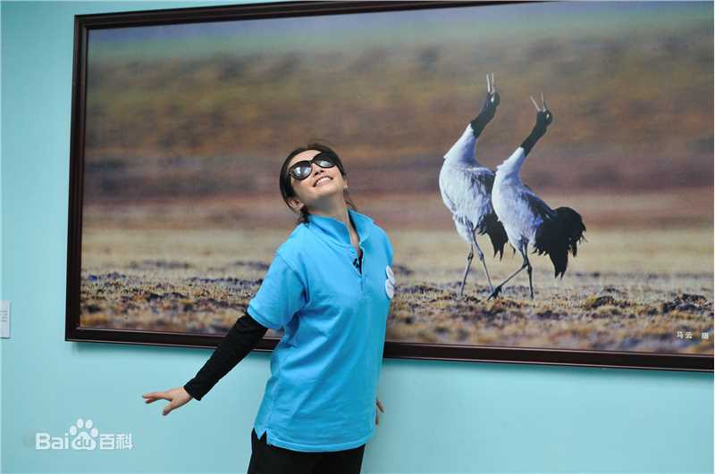 精选李冰冰(Li Bingbing)精彩图册