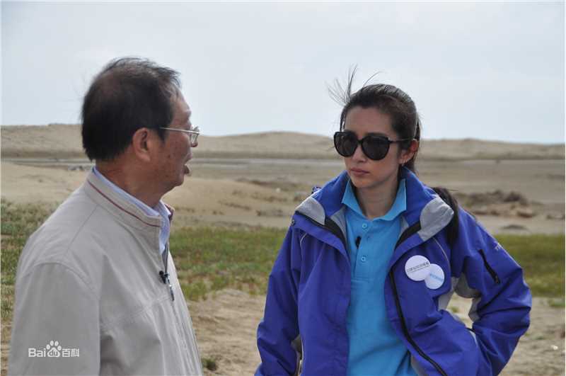 精选李冰冰(Li Bingbing)精彩图册