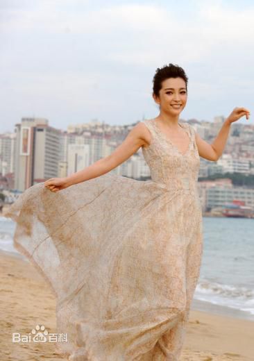 最新李冰冰(Li Bingbing)精彩图册4