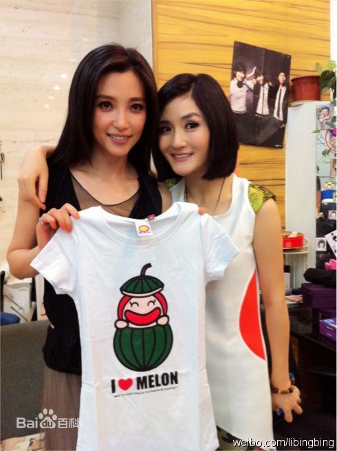 李冰冰(Li Bingbing)精彩图册2