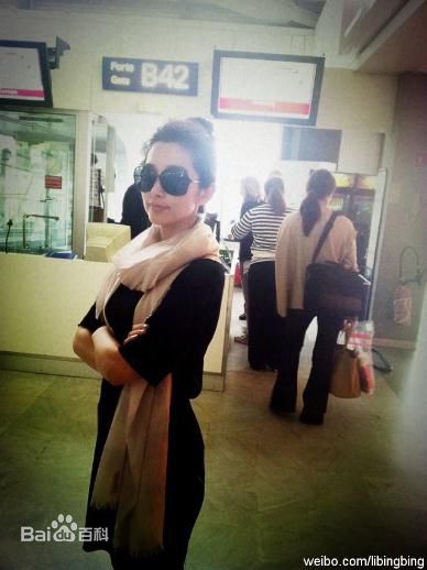 李冰冰(Li Bingbing)精彩图册2