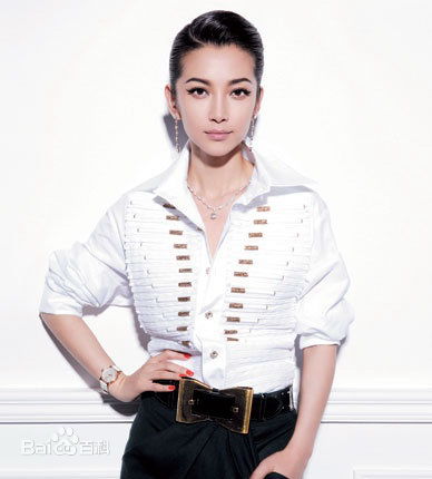 李冰冰(Li Bingbing)精彩图册2