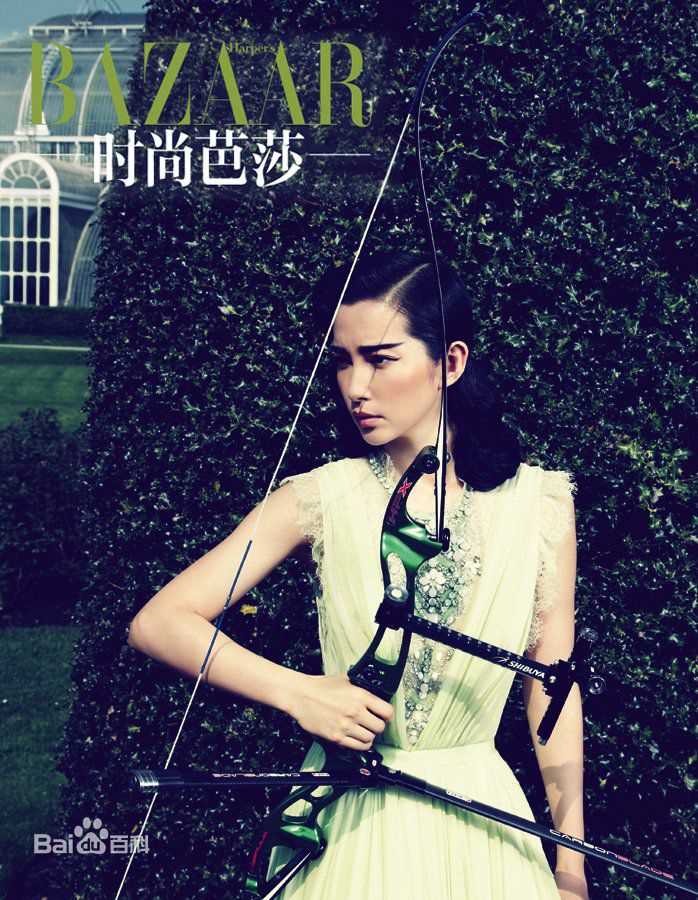 最新李冰冰(Li Bingbing)精彩图册3