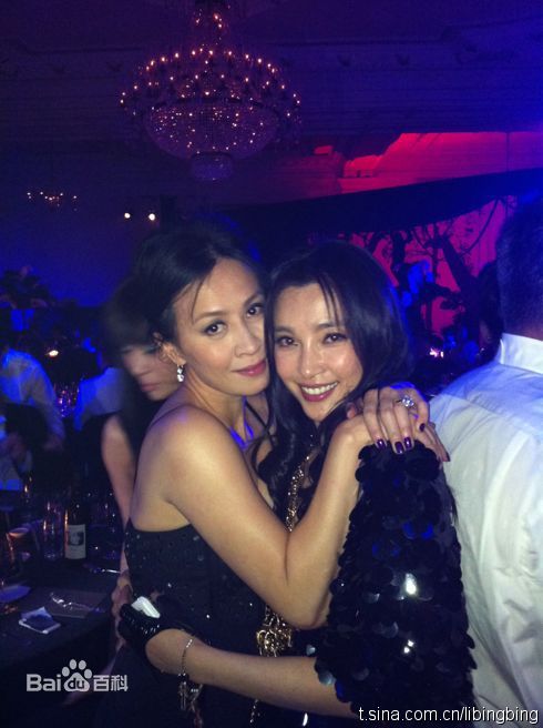 最新李冰冰(Li Bingbing)精彩图册3