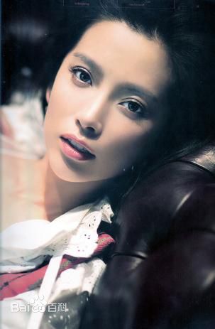李冰冰(Li Bingbing)精彩图册5