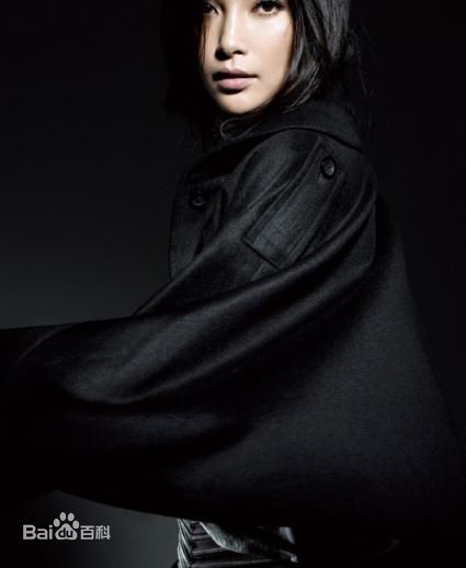 李冰冰(Li Bingbing)精彩图册5