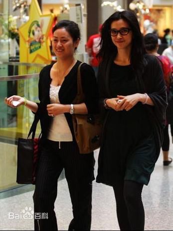 李冰冰(Li Bingbing)精彩图册5