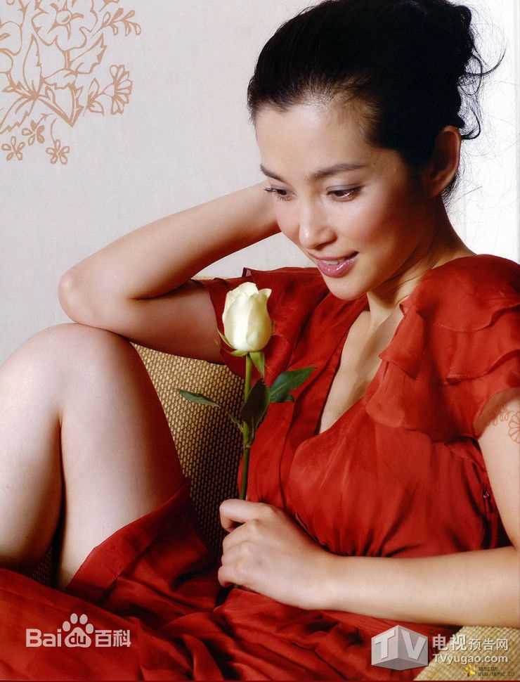 李冰冰(Li Bingbing)最全个人壁纸