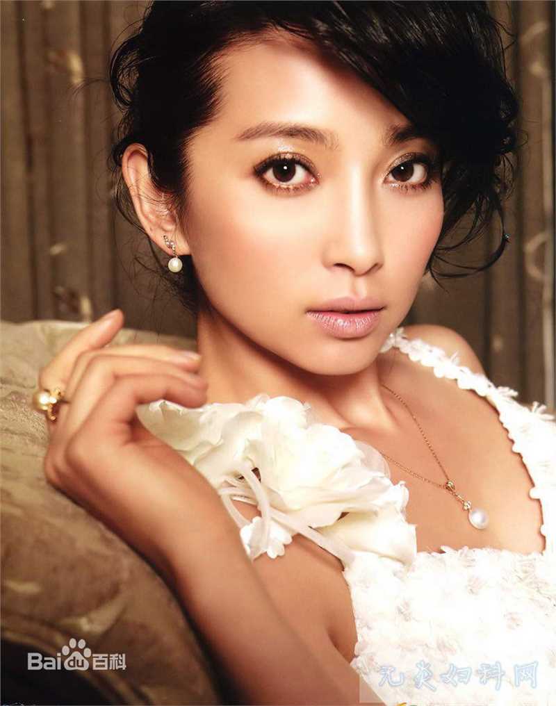 李冰冰(Li Bingbing)最全个人壁纸