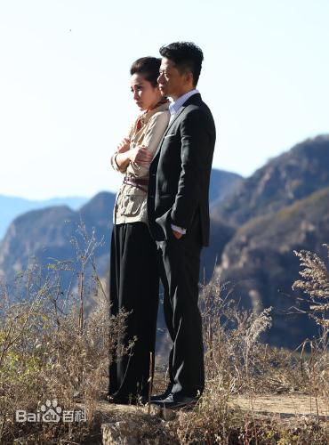 最优质李冰冰(Li Bingbing)精彩图册1