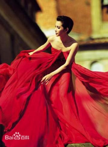 最优质李冰冰(Li Bingbing)精彩图册1