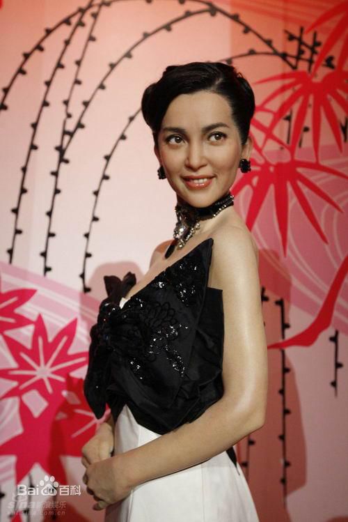 最优质李冰冰(Li Bingbing)精彩图册1