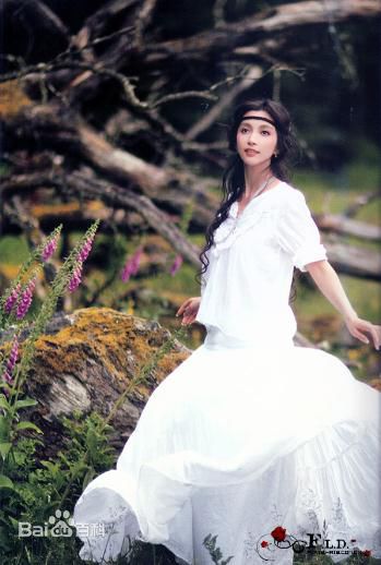 最优质李冰冰(Li Bingbing)精彩图册1