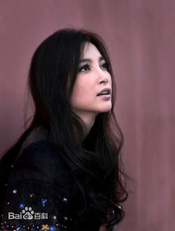 最优质李冰冰(Li Bingbing)精彩图册1