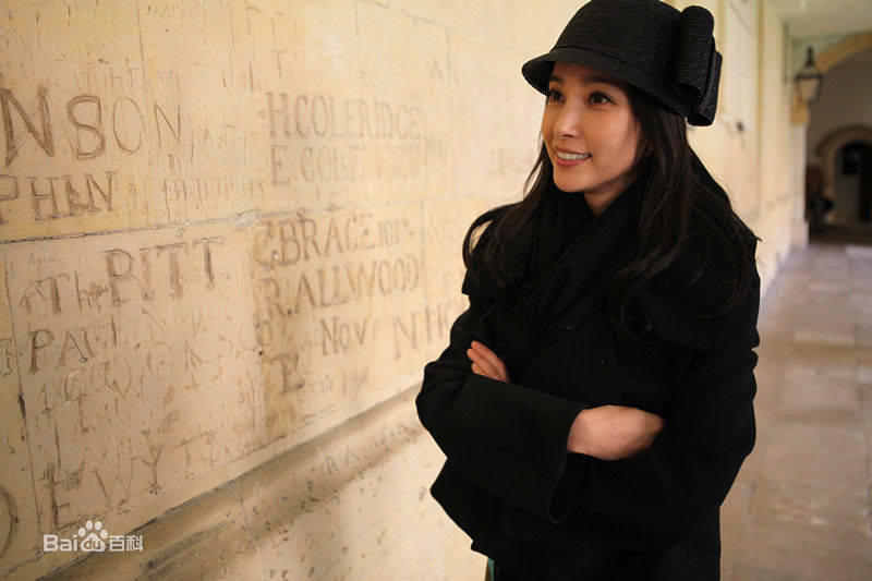 最新李冰冰(Li Bingbing)精彩图册