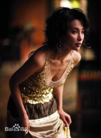 最全李冰冰(Li Bingbing)精彩图册1