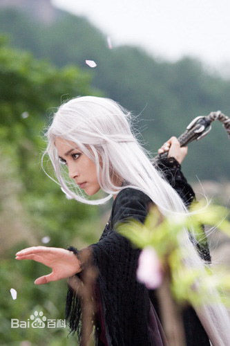 最新李冰冰(Li Bingbing)精彩图册3