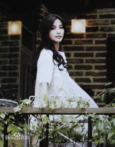 最新李冰冰(Li Bingbing)精彩图册3