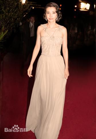 最新李冰冰(Li Bingbing)精彩图册3