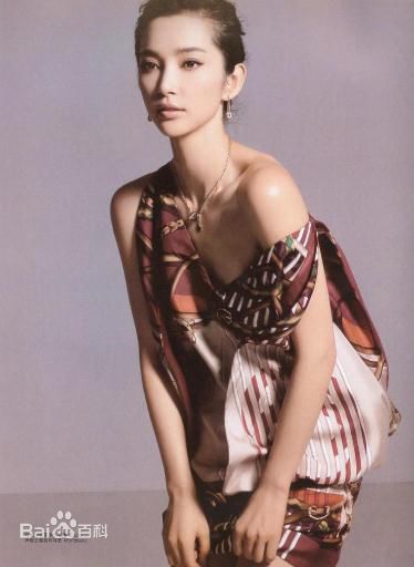 精选李冰冰(Li Bingbing)精彩图册2