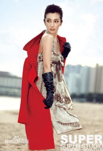 精选李冰冰(Li Bingbing)精彩图册2