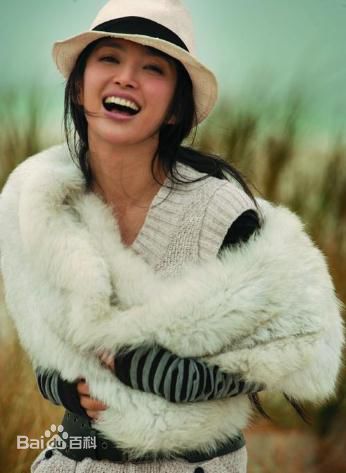 精选李冰冰(Li Bingbing)精彩图册2