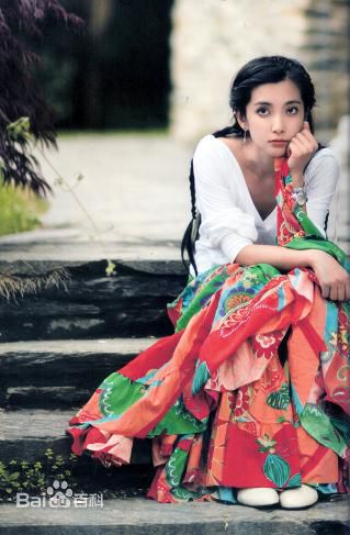 精选李冰冰(Li Bingbing)精彩图册2