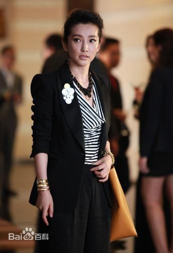精选李冰冰(Li Bingbing)精彩图册2