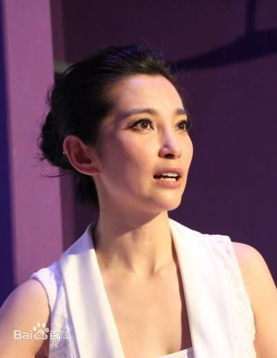 最全李冰冰(Li Bingbing)精彩图册4