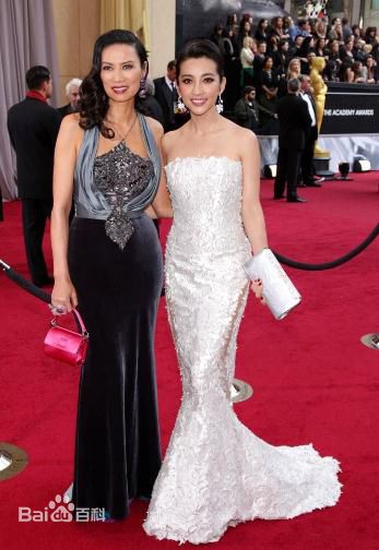 最全李冰冰(Li Bingbing)精彩图册4