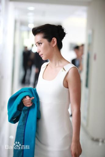 最全李冰冰(Li Bingbing)精彩图册4