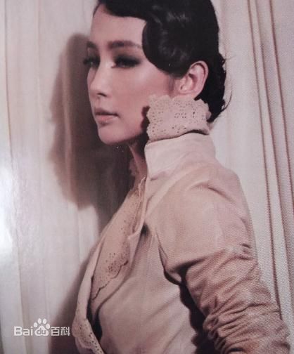 最全李冰冰(Li Bingbing)精彩图册4