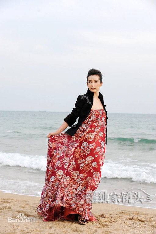 精选李冰冰(Li Bingbing)精彩图册1