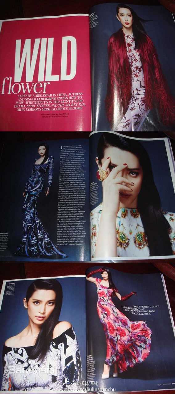 精选李冰冰(Li Bingbing)精彩图册1