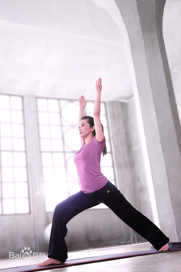 精选李冰冰(Li Bingbing)精彩图册1