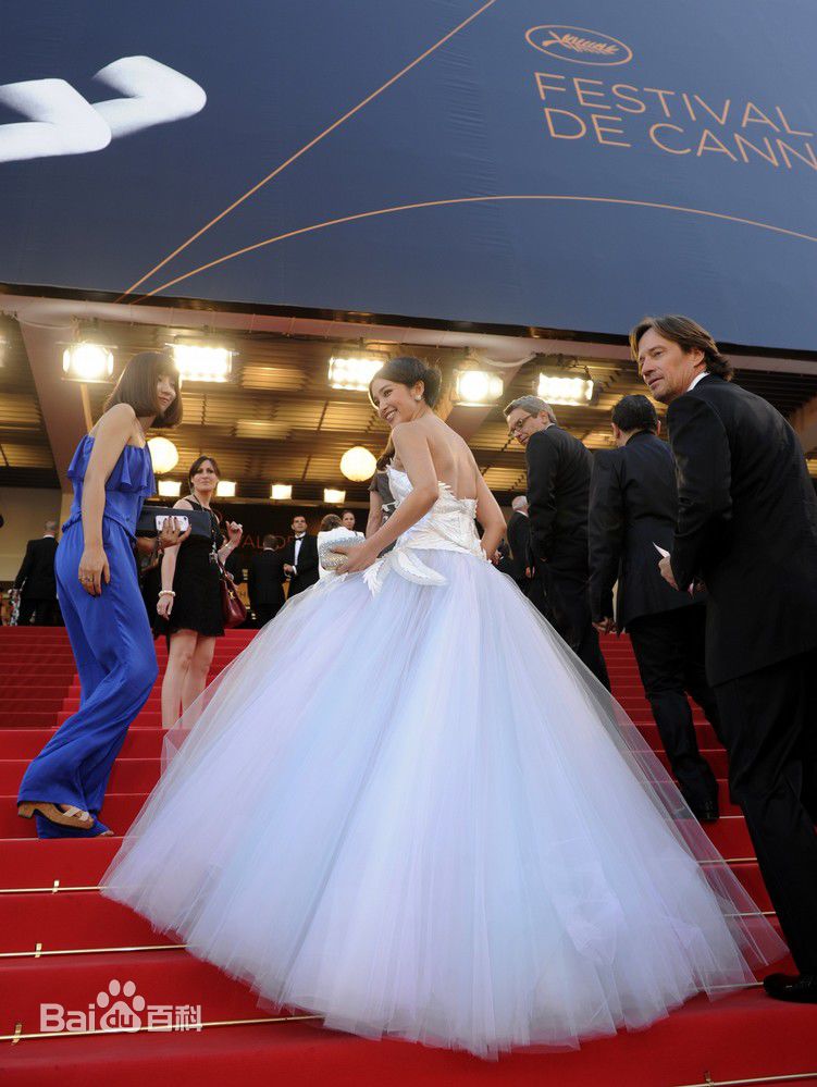 精选李冰冰(Li Bingbing)精彩图册1