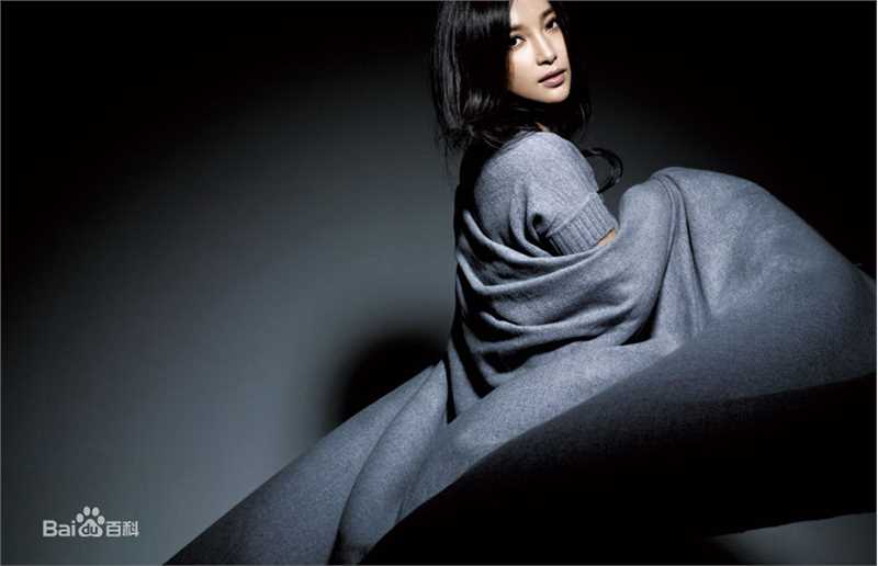 精选李冰冰(Li Bingbing)精彩图册1