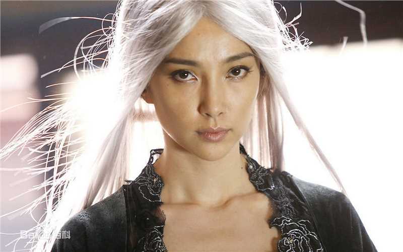 精选李冰冰(Li Bingbing)精彩图册1